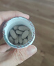 善存多维元素片(29) OTC100片成人补充30种复合维生素d叶酸备孕期维生素cVb族Ve钙铁锌 实拍图