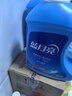 蓝月亮洗衣液12斤套装：亮白增艳薰衣草3kg瓶+1kg袋*3 留香【京东金奖】 实拍图