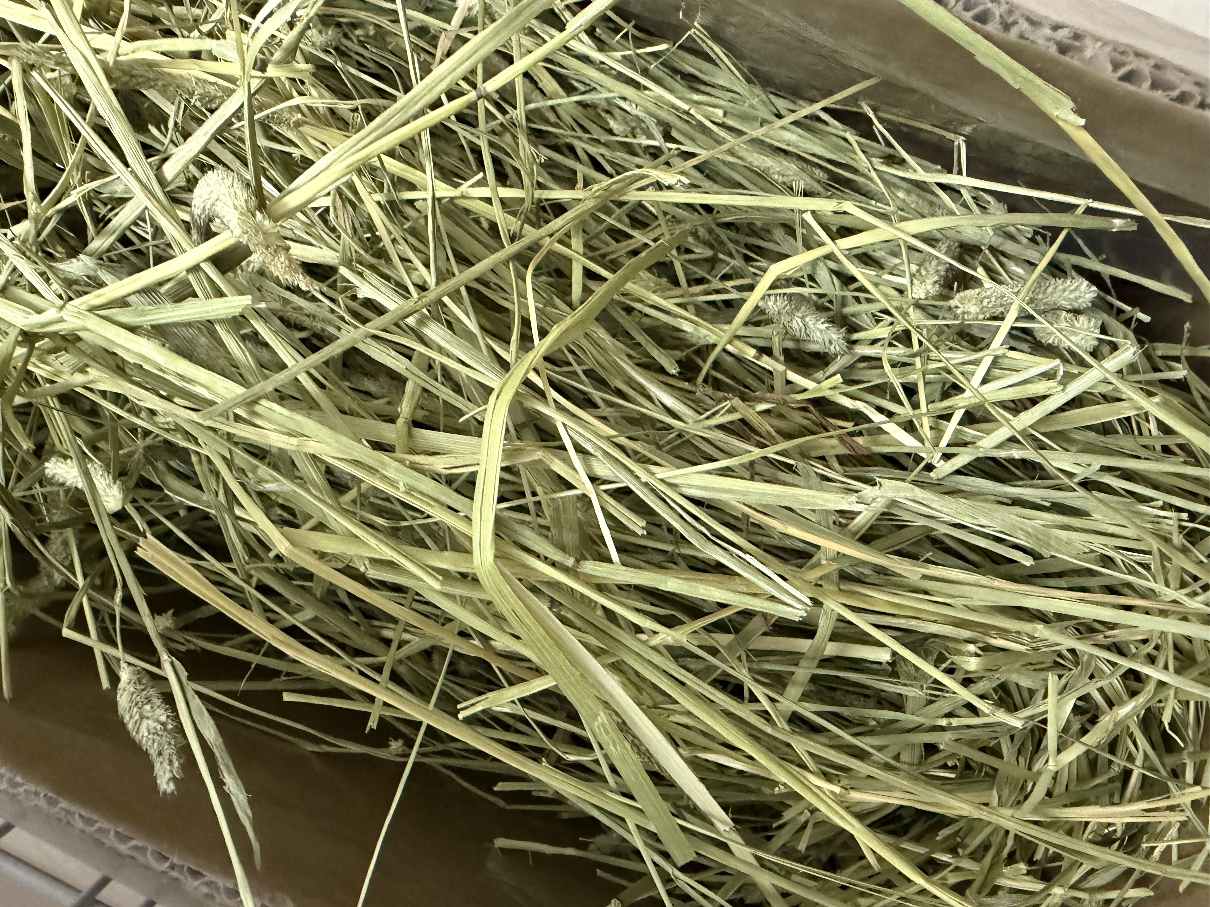 BCM进口一番美提500g*2包装 实拍图