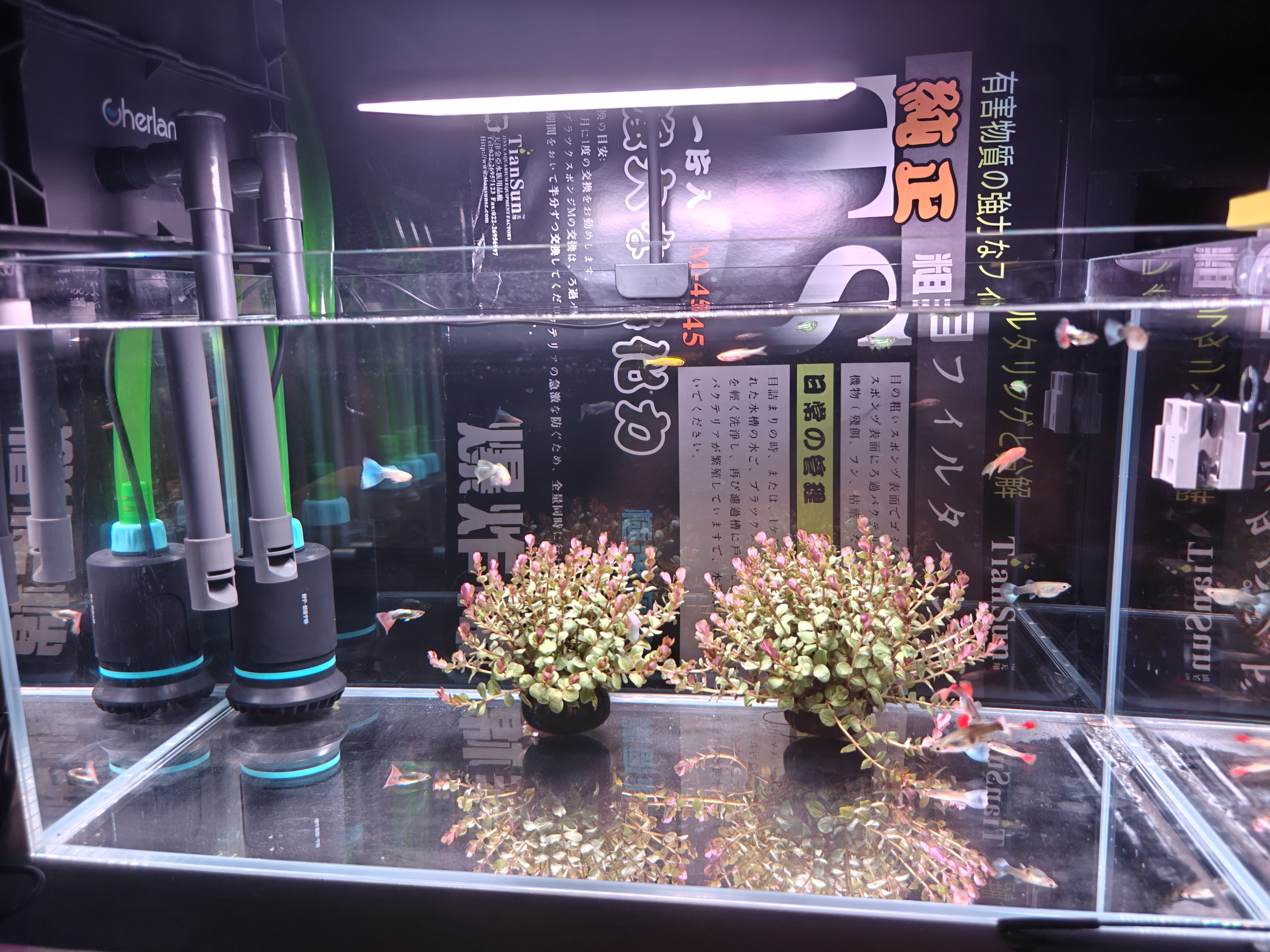 沃韦朗（VOONLINE）鱼缸灯水草灯LED全光谱草缸水族夹灯 【七色调光定时】沃韦朗夹灯25W 实拍图