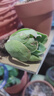 【亏本冲量】多肉植物盆栽新手套餐迷你绿植 鸡蛋碧桃1棵(不带盆和土） 实拍图