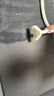 鲸森 WHALEXIN布艺沙发清洗机家用喷抽吸一体地毯清洗神器床垫窗帘除螨专用清洁机 【新品N3-Pro系列】标配款-清洁液1瓶 实拍图