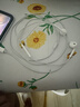 Apple/苹果 EarPods USB-C有线耳机 type-c有线耳机  iPhone 17有线耳机笔记本耳机游戏音乐 实拍图