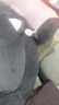 京严靠枕靠垫床头床上靠背垫软包床头靠抱枕宿舍靠枕沙发床靠垫 哈士奇【可拆卸靠背垫+枕头】 含枕芯 超大号【超软靠背+冰丝乳胶】 实拍图