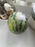 【产地直采】河北老树皇冠梨4粒 约1.2kg 实拍图