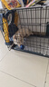 憨憨宠 狗笼猫笼 狗笼子小型犬带厕所幼犬折叠便携猫笼子宠物笼具兔笼 【精品升级加粗】狗丝 70*50*60cm 实拍图