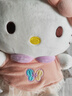 Hello Kitty三丽鸥毛绒玩具玩偶布娃娃抱枕摆件生日礼物送女生女孩凯蒂猫公仔 实拍图