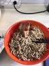 宾西酱牛肉开袋即食袋装特产熟食食品下酒菜牛肉真牛肉 100g*8袋 实拍图