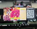 Brateck北弧55-100英寸 电视挂架电视架 电视支架伸缩旋转壁挂架挂墙架65/70/75/85/98百吋平板电视机 X70 实拍图