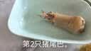 京东跑山猪黑猪五花肉 4斤（1斤*4小包） 精品下五花瘦猪肉烧烤食材 实拍图