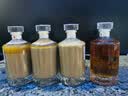 喜脑绍兴黄酒冬酿微醺无焦糖色2008年半干型原酒自饮装500ml*6瓶 实拍图