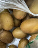佳沛（zespri）新西兰 金果25-27粒特大单果124-146g 端午礼物水果礼盒 猕猴桃 实拍图