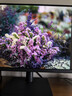 明基（BenQ）PD2706QN 27英寸2K100Hz HDR Type-C供电  双P3色彩模式 全链路色准设计修图电脑显示器 实拍图