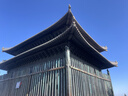 世咏（SHIYONG）适用苹果17手机壳 iphone17保护套全包超薄防摔轻奢羊巴皮简约国风小羊皮男女款 黑色 实拍图