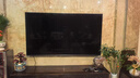 TCL【618狂欢】SQD-MiniLED电视 85Q10M 85英寸 100%全局高色域 超级蝶翼华曜屏 绚彩XDR6000nits 实拍图