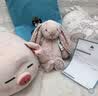 Jellycat害羞乳白色邦尼兔动物毛绒玩偶安抚玩偶娃娃送礼生日礼物 花布胭脂粉色邦尼兔（彻蕊） Medium 实拍图