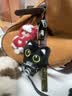 新款罗小黑小猫玩偶挂件可爱超萌毛绒公仔钥匙扣学生书包包挂饰 黑猫【黑手提绳+黑白围巾】 实拍图