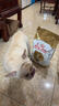 皇家狗粮 斗牛犬成犬狗粮 犬粮 宠物中型犬 FBA26 全价犬粮 ≥12月3KG 实拍图