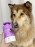 雪貂留香宠物沐浴露 泰迪比熊柴犬萨摩耶专用蓬松柔顺狗狗浴液 柔顺护毛素 实拍图