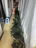 史丹利有机营养土10L+复合肥2.5斤套餐 园艺有机土通用型种菜养花种植土 实拍图