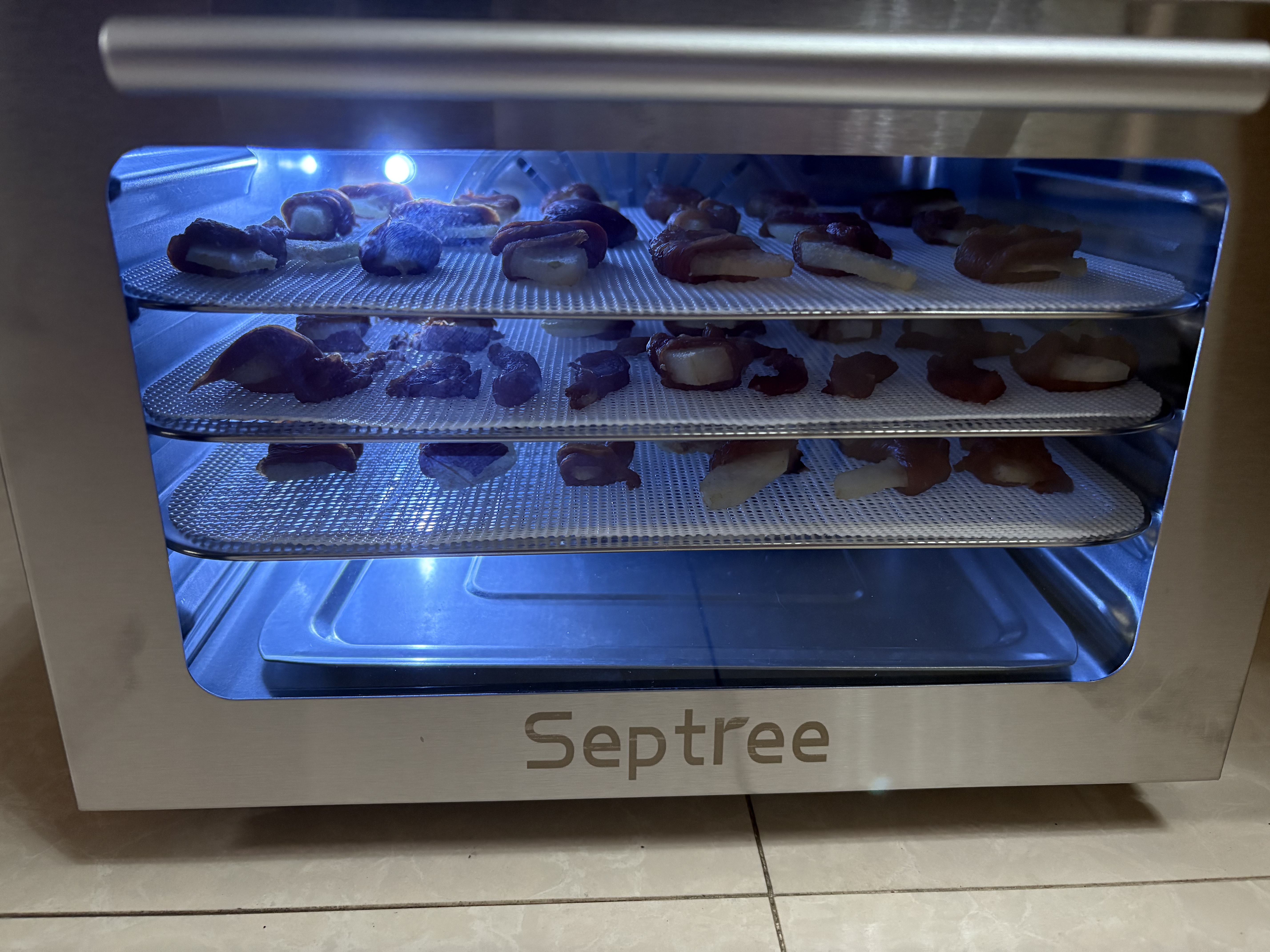 Septree心驰食品烘干机宠物零食家用多功能小型干果机厨房食物风干机器水果烤干机 5层款(选购率1%)+5张不沾硅胶垫 实拍图