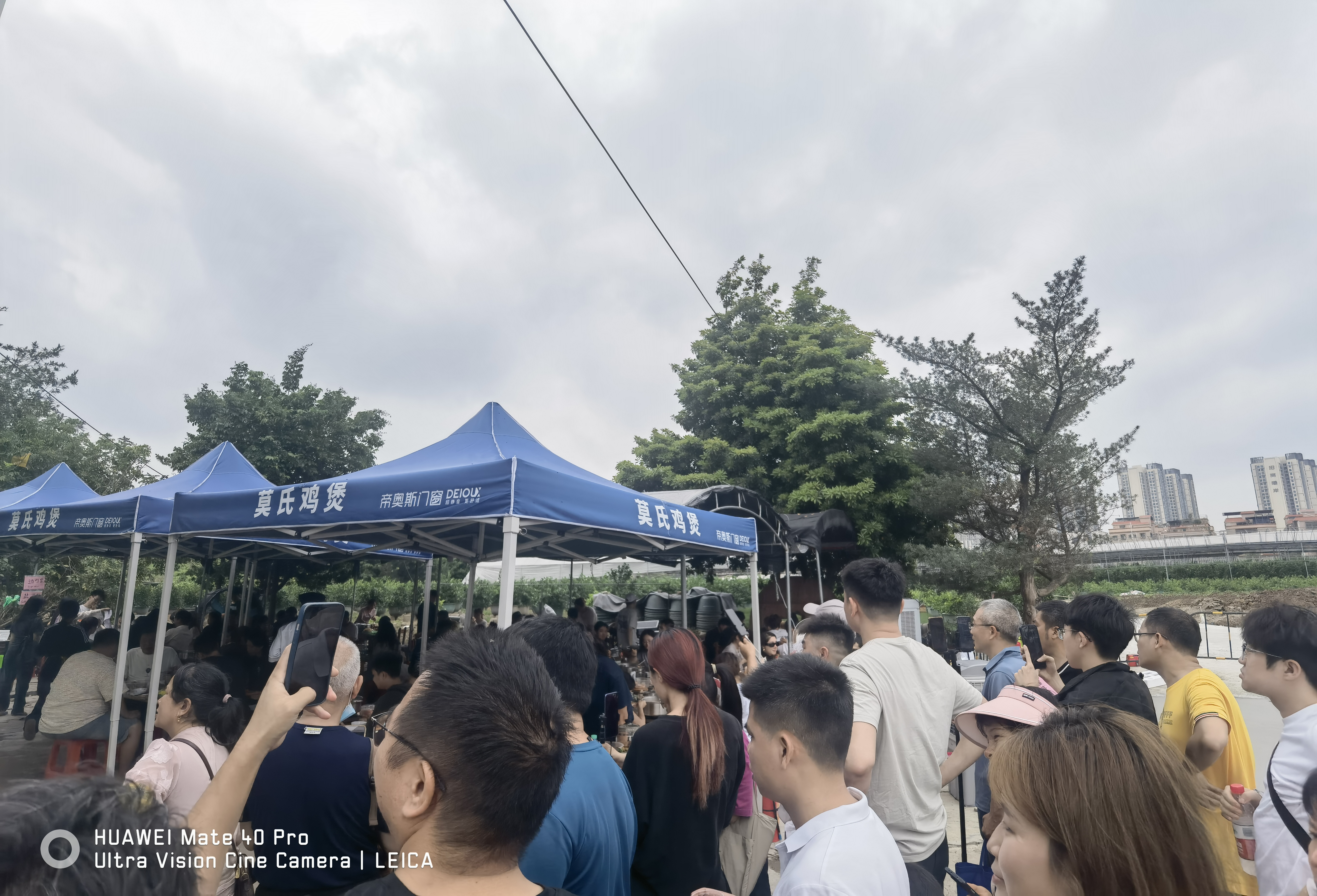 GEELE陆地冲浪板弹簧桥S6免蹬地滑板模拟滑雪冲浪滑板初学者专业陆冲板 实拍图