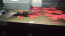拓竹PLA Basic基础 3D打印耗材 高韧性易打印 RFID智能参数识别--净重1kg 品红10202 无料盘 实拍图
