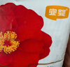 宜婴 新梦想家拉拉裤夏季超薄透气尿不湿婴儿宝宝NB/S/M纸尿裤试用装 山茶拉拉裤L15片 实拍图