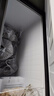 海尔（Haier）300L单温冰柜小型家用小冰柜冷藏冷冻转换冷柜小冰箱风冷无霜一级能效BC/BD-300WGHECD【价保618】 实拍图