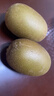 佳沛（zespri）新西兰金果巨大果22粒原箱单果146-175g 端午礼物水果礼盒 猕猴桃 实拍图