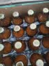 【原研药】瑞能 肠内营养乳剂(TPF-T) 200ml/瓶*30 实拍图