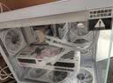 华硕（ASUS）全家桶U5 245KF/U7 265KF主机RTX5060Ti显卡吹雪主机定制ROG太阳神显卡游戏组装电脑主机DIY组装机 配二丨U5 245KF+RTX5060Ti 8G 实拍图