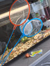 鱼缸捞鱼网水族箱用品大全小渔捞捕捞鱼网兜观赏鱼丰年虾网捞密网 大中小密网各一个颜色随机 实拍图
