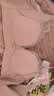 欧迪芬内衣女无钢圈文胸抗菌亲肤侧收副乳小胸聚拢胸罩女友礼物 实拍图