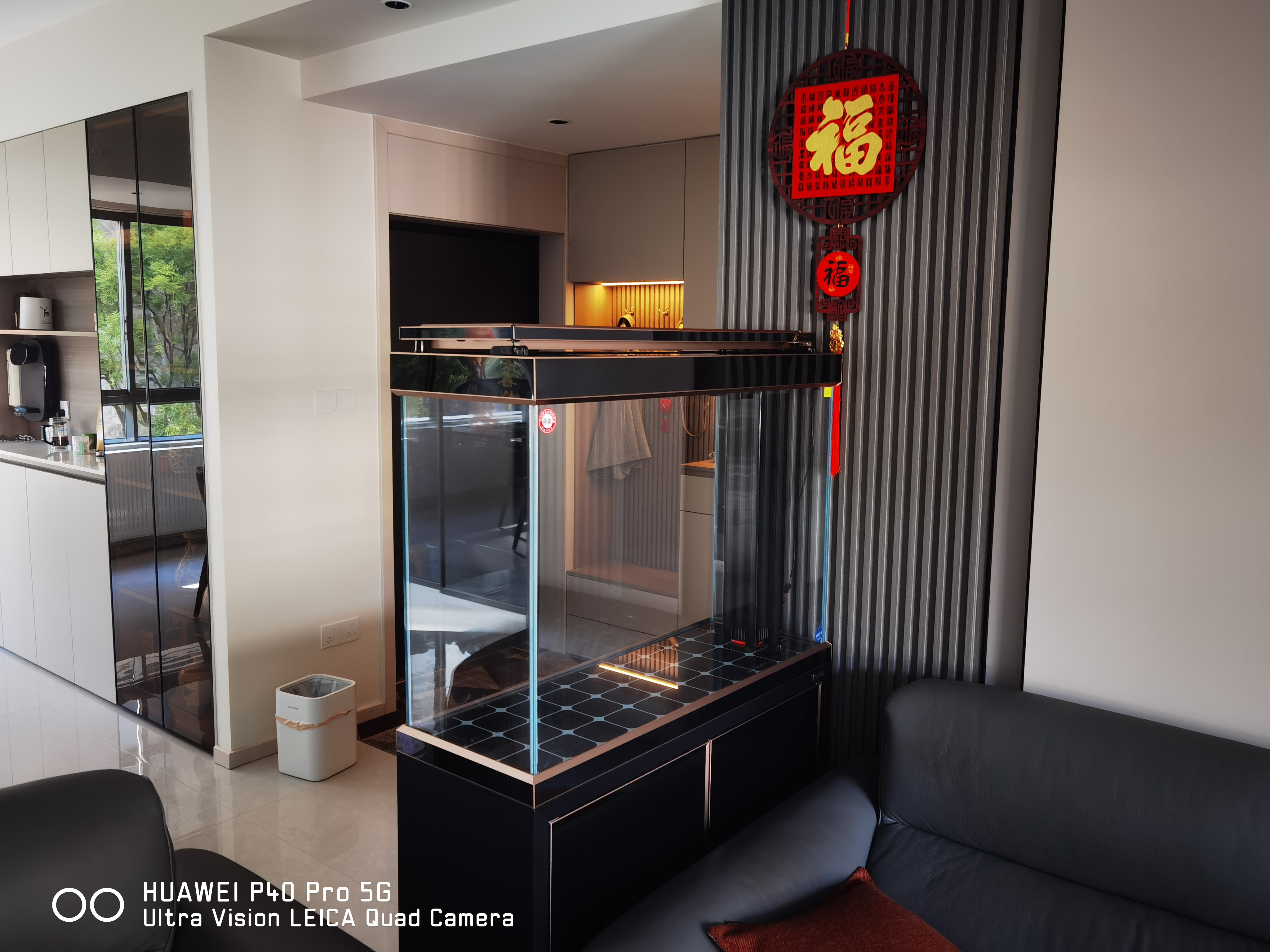 森森（SUNSUN）大型鱼缸底过滤水族箱客厅家用落地玻璃生态金鱼缸 超白隔断屏风款 1米长35cm宽（黑白灰可选） 实拍图