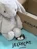 Jellycat害羞乳白色邦尼兔动物毛绒玩偶安抚玩偶娃娃送礼生日礼物 害羞银色邦尼兔 Medium 实拍图