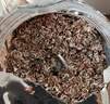 西麦低脂0糖纯黑麦片1.8KG 高蛋白膳食纤维健身代餐早餐无糖 实拍图