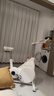 英尔健家用动感单车智能磁控静音运动减肥健身器材室内脚踏车健身单车 [标准款]物理阻力/AI体感/竞赛游戏/13斤全包飞轮组 实拍图