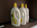 滴露（Dettol）衣物消毒液除菌柠檬3L 99.9%杀菌除螨内衣儿童衣服消毒水配洗衣液 实拍图