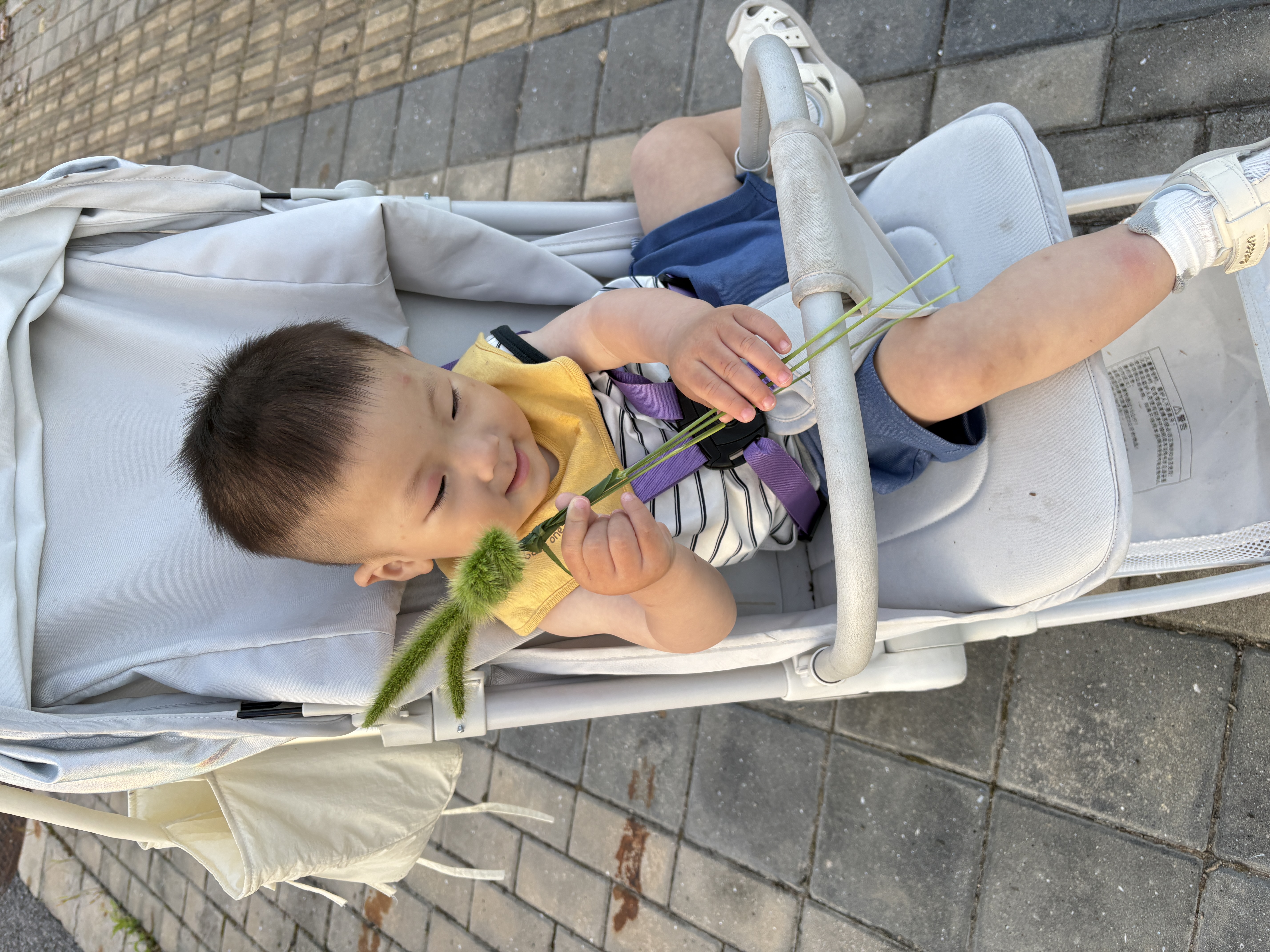 巴拉巴拉童装儿童短裤男童2026夏季休闲裤女童裤子宝宝薄款纯棉七分裤婴儿 实拍图