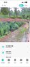 霸天安4g监控无线摄像头无需连wifi网络终身免流量室外监控器家用360度无死角全景农村夜视手机远程户外 实拍图