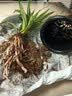 劉閣蘭花超香建兰四季兰当年开花壮苗满屋飘香室内四季常青花卉盆栽草 2苗连体【蓝宝石】带黑色兰花盆 实拍图