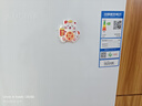 澳柯玛（AUCMA）228升两门二门双开门小型家用宿舍出租房小户型电冰箱风冷无霜节能省电BCD-228WH【价保618】 实拍图
