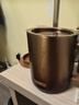 膳魔师（THERMOS）保温杯400ml带茶滤男女泡茶咖啡杯伴手礼生日礼物TEMC-GD-G 实拍图