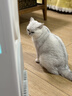 霍尼韦尔（Honeywell）宠物猫用空气净化器价保618吸猫毛除甲醛异味过敏源杀菌消毒母婴级KJ520F-C22W霍哈宝H-Cat Hub 实拍图