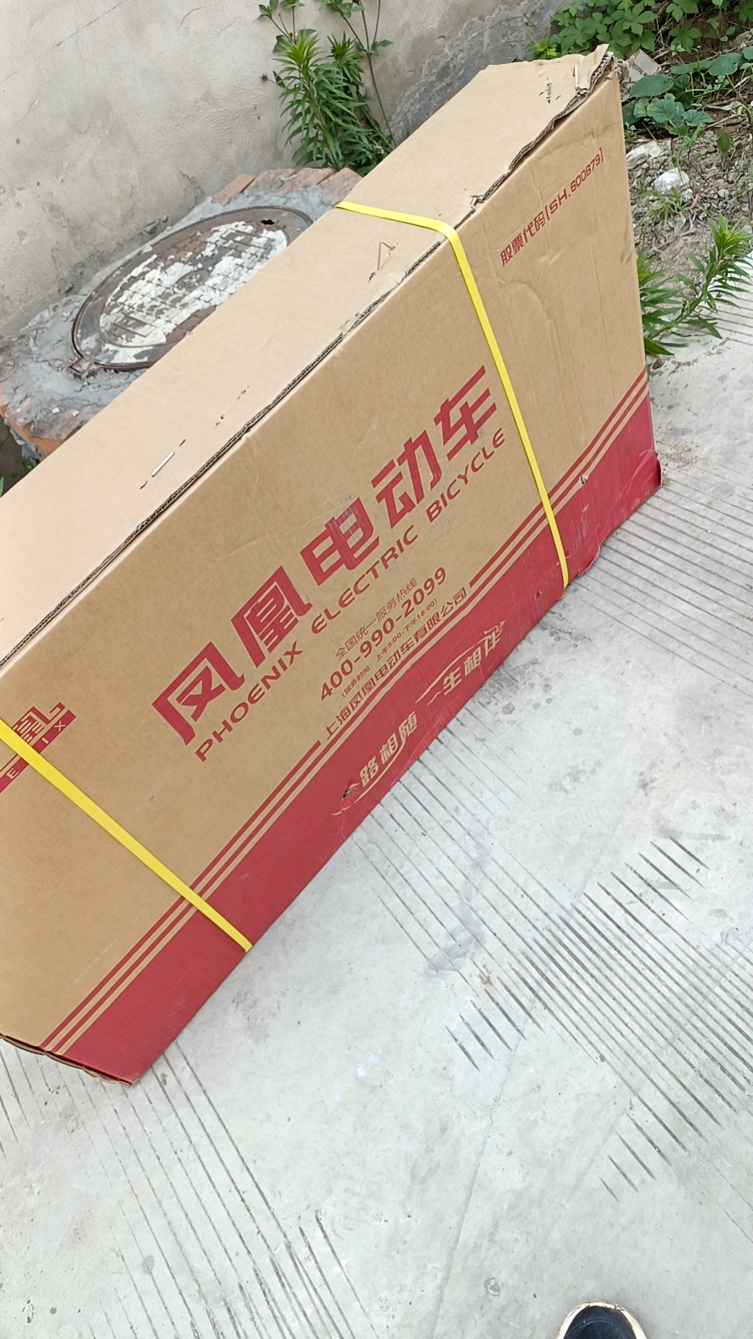凤凰（Phoenix）折叠电动自行车小型超长续航代驾电瓶车成人便捷锂电池代步电单车 豪华版-汽车电芯10A-纯电续航30km 实拍图