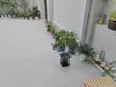 奥美优花盆塑料家用多肉种植盆栽花卉绿植树脂透气防烂根带托盘一体加厚 实拍图
