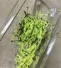京东京造擦丝器多功能切丝神器擦丝器家用刨丝器土豆切菜器不锈钢面6刀片 实拍图