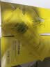 SDX拾度多肽淡纹紧致颈霜抗皱淡化颈纹紧致保湿滋润10g 实拍图