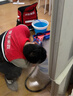 京东家政清洗 冰箱(2门/3门)清洗 家电清洗上门服务清洁保养保洁 实拍图